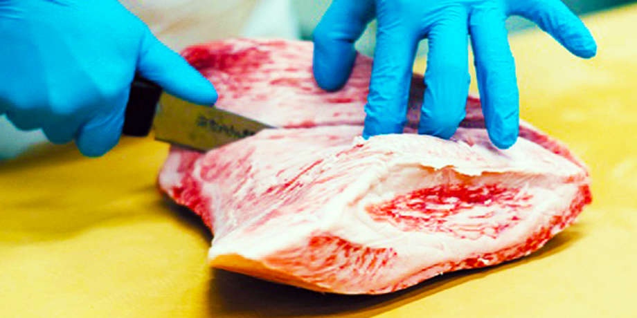 株式会社ミーティッジメイン画像3